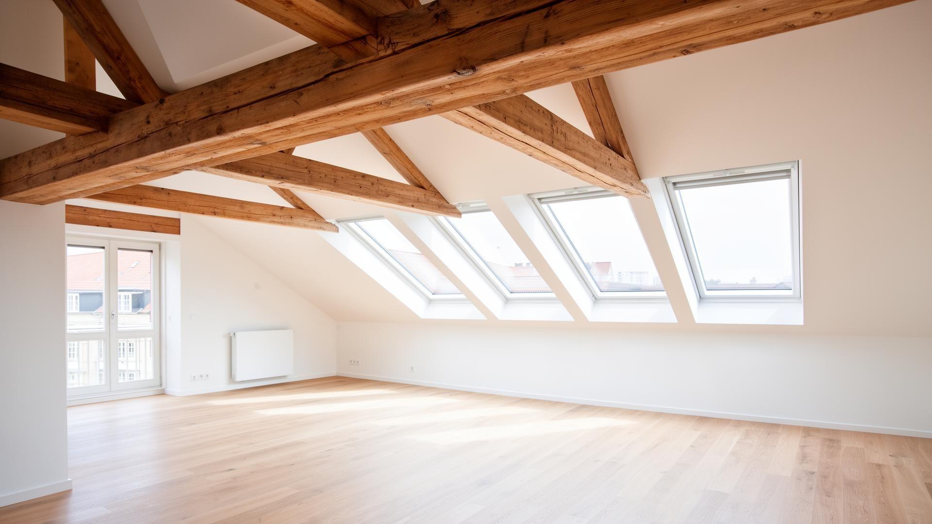 Loft og tagrum